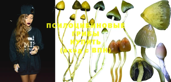 PSILOCYBIN Алзамай