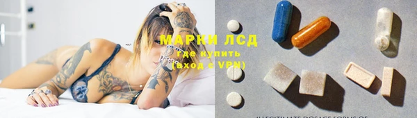 PSILOCYBIN Алзамай