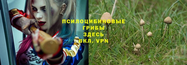PSILOCYBIN Алзамай