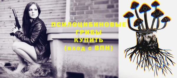 PSILOCYBIN Алзамай